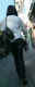 jg-dsc01885.jpg (218994 Byte)