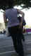 jg-dsc01905.jpg (315798 Byte)