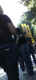 jg-dsc01953.jpg (201059 Byte)