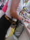 jg-dsc02030.jpg (517150 Byte)