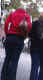 jg-dsc02106.jpg (180232 Byte)