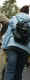 jg-dsc02107.jpg (171485 Byte)