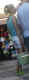 jg-dsc02124.jpg (44407 Byte)