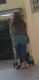 jg-dsc02144.jpg (18737 Byte)