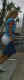 jg-dsc02161.jpg (51994 Byte)