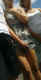 jg-dsc02205.jpg (342345 Byte)