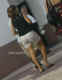 jg-dsc02255.jpg (53395 Byte)