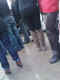 jg-dsc02272.jpg (674141 Byte)