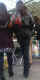 jg-dsc02356.jpg (316831 Byte)