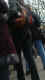 jg-dsc02357.jpg (353710 Byte)