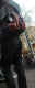 jg-dsc02361.jpg (282617 Byte)