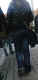 jg-dsc02365.jpg (272040 Byte)