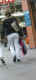 jg-dsc02383.jpg (59661 Byte)