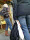 jg-dsc02455.jpg (524631 Byte)