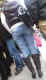 jg-dsc02669.jpg (421142 Byte)