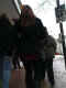 jg-dsc02780.jpg (400380 Byte)