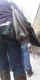 jg-dsc02807.jpg (335138 Byte)