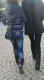 jg-dsc03167.jpg (237348 Byte)