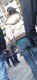 jg-dsc03181.jpg (313806 Byte)