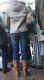 jg-dsc03254.jpg (446352 Byte)