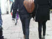jg-dsc03381.jpg (496620 Byte)