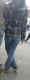 jg-dsc03408.jpg (293421 Byte)