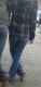 jg-dsc03409.jpg (255818 Byte)