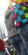 jg-dsc03411.jpg (263103 Byte)