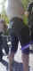 jg-dsc03425.jpg (366472 Byte)