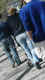 jg-dsc03431.jpg (92692 Byte)