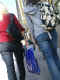 jg-dsc03449.jpg (475551 Byte)