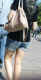 jg-dsc03452.jpg (145561 Byte)