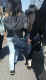 jg-dsc03479.jpg (348591 Byte)