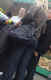 jg-dsc03551.jpg (223672 Byte)