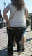 jg-dsc03598.jpg (226111 Byte)