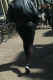jg-dsc03650.jpg (226671 Byte)
