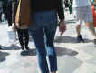 jg-dsc03683.jpg (521061 Byte)