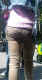 jg-dsc03690.jpg (232716 Byte)