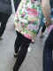 jg-dsc03758.jpg (490820 Byte)