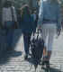 jg-dsc03825.jpg (302218 Byte)