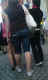 jg-dsc01318.jpg (408068 Byte)