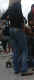 jg-dsc01389.2.jpg (125114 Byte)