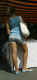 jg-dsc02176.jpg (179759 Byte)
